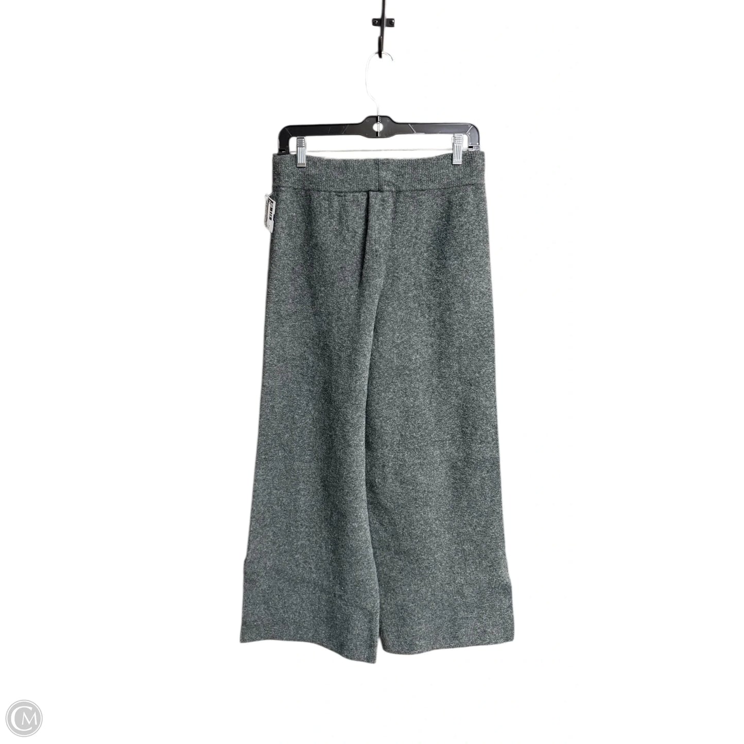 Pants Other By Zara In Grey, Size: 8
