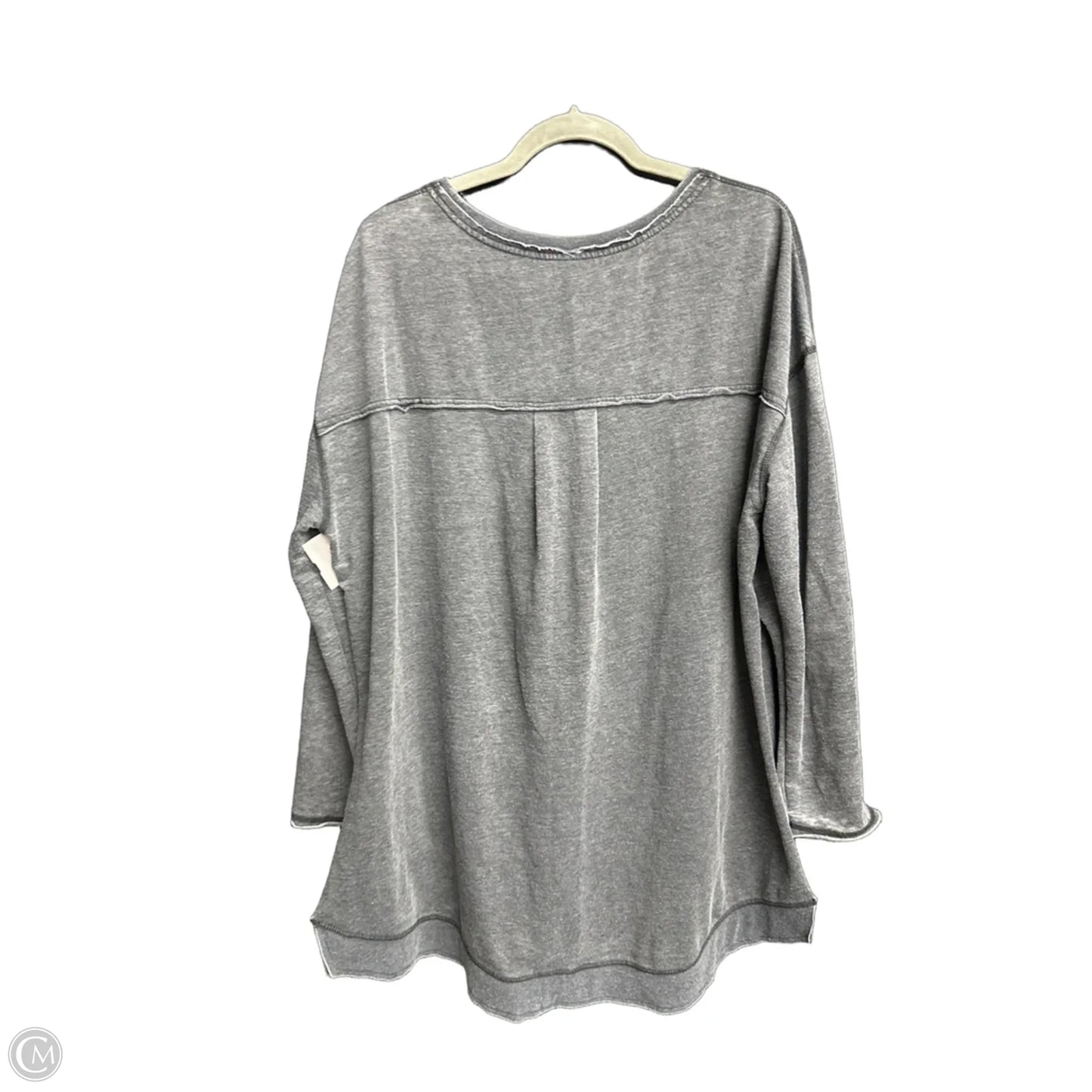 Top Long Sleeve By Z Supply In Grey, Size: Xl