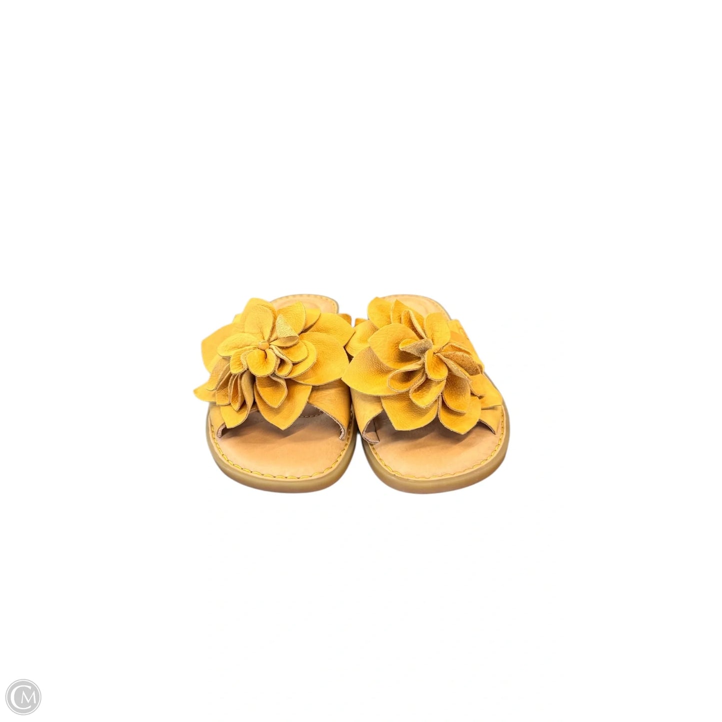 Sandals Flats By Born In Yellow, Size: 8