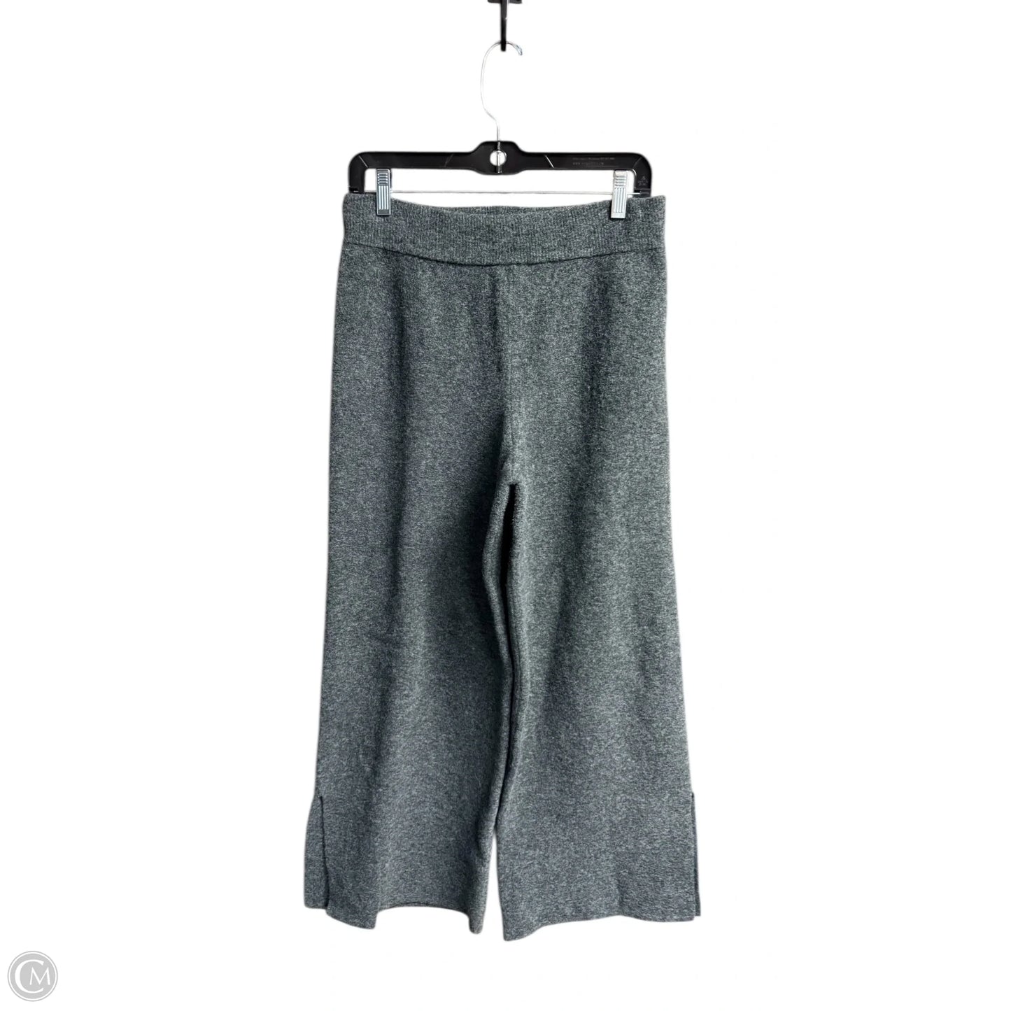 Pants Other By Zara In Grey, Size: 8