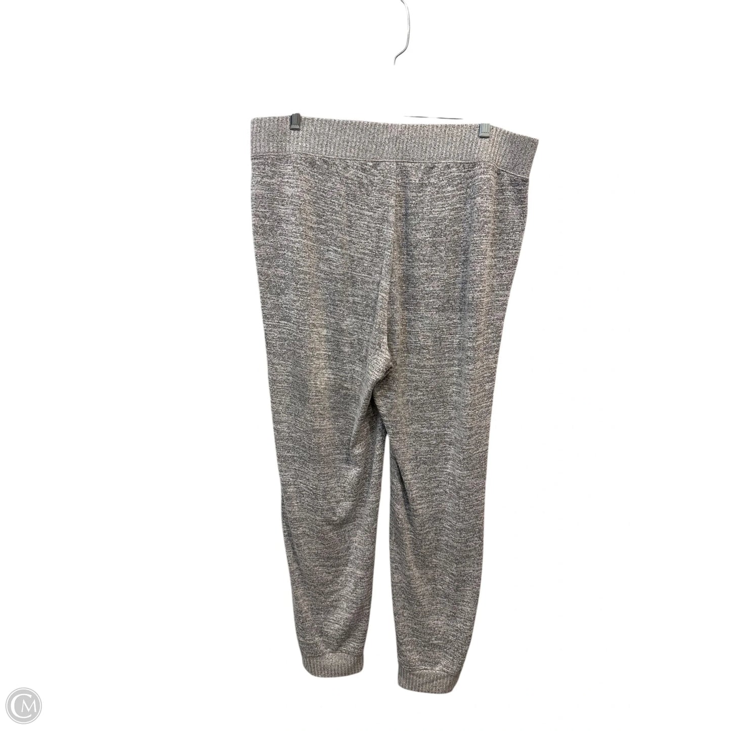 Pants Set 2pc By Zenergy By Chicos In Grey, Size: L