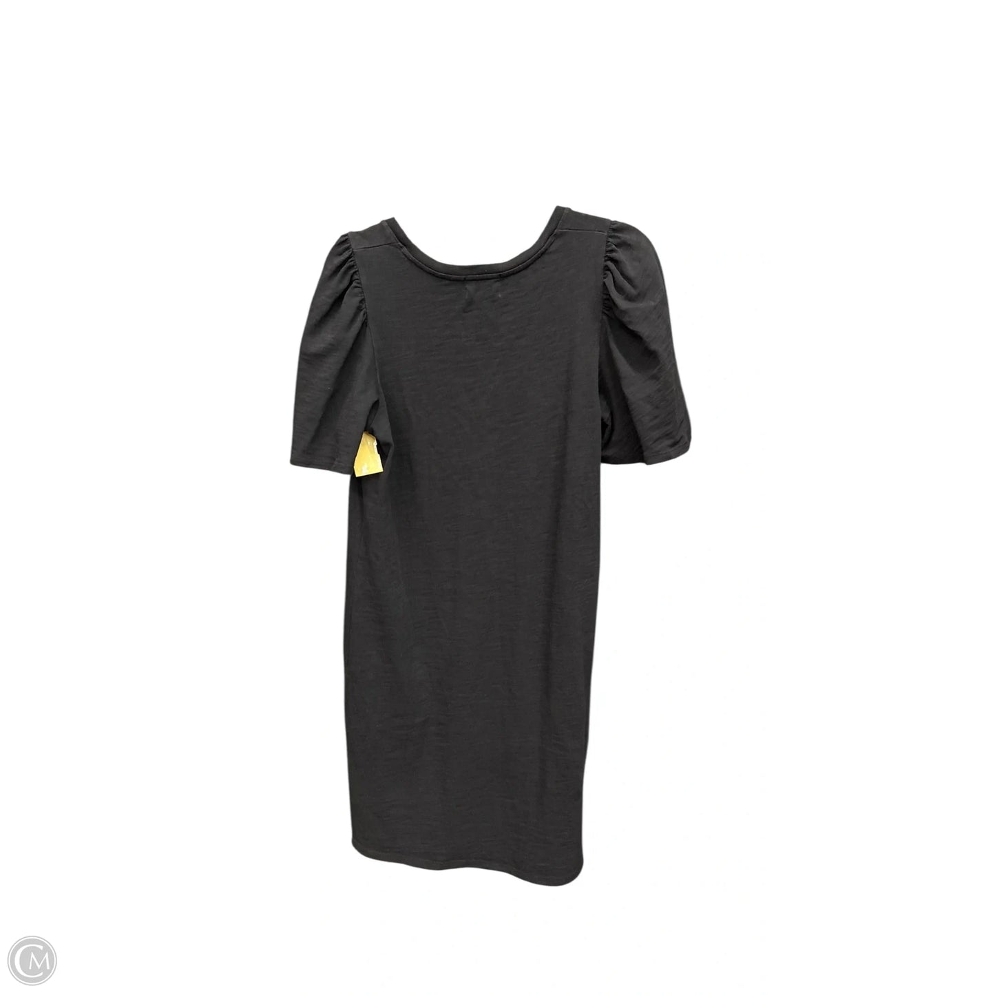 Dress Casual Short By Nation In Black, Size: S