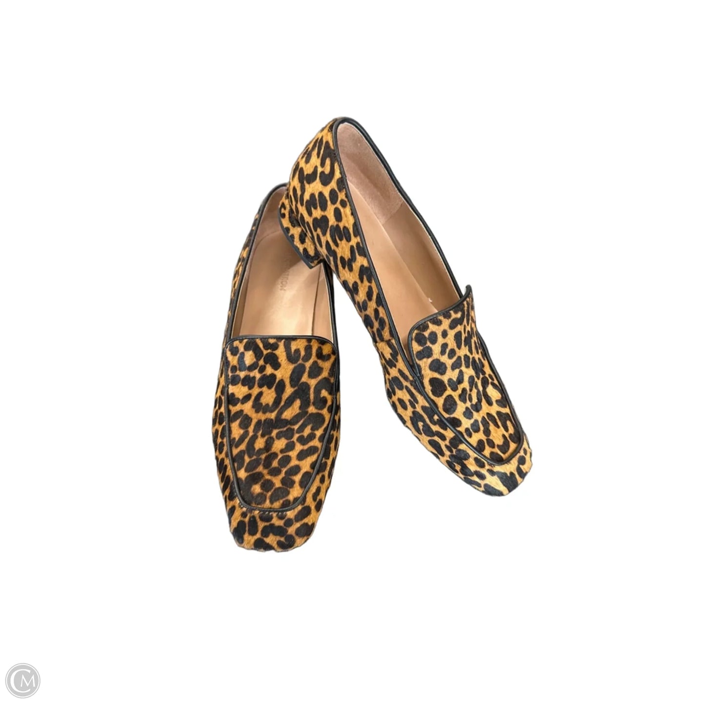 Shoes Heels Block By Nordstrom In Leopard Print, Size: 8.5