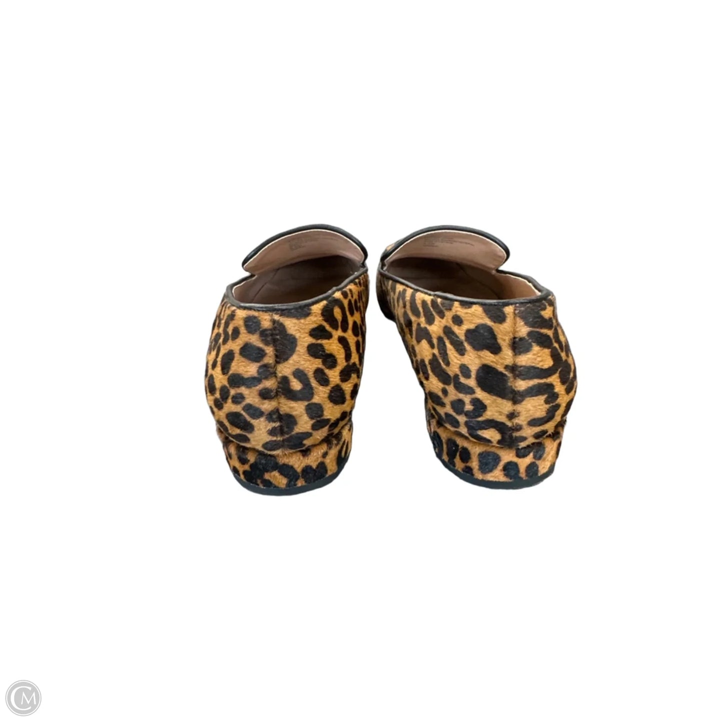 Shoes Heels Block By Nordstrom In Leopard Print, Size: 8.5