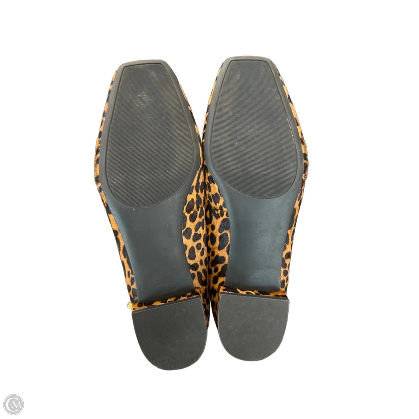 Shoes Heels Block By Nordstrom In Leopard Print, Size: 8.5