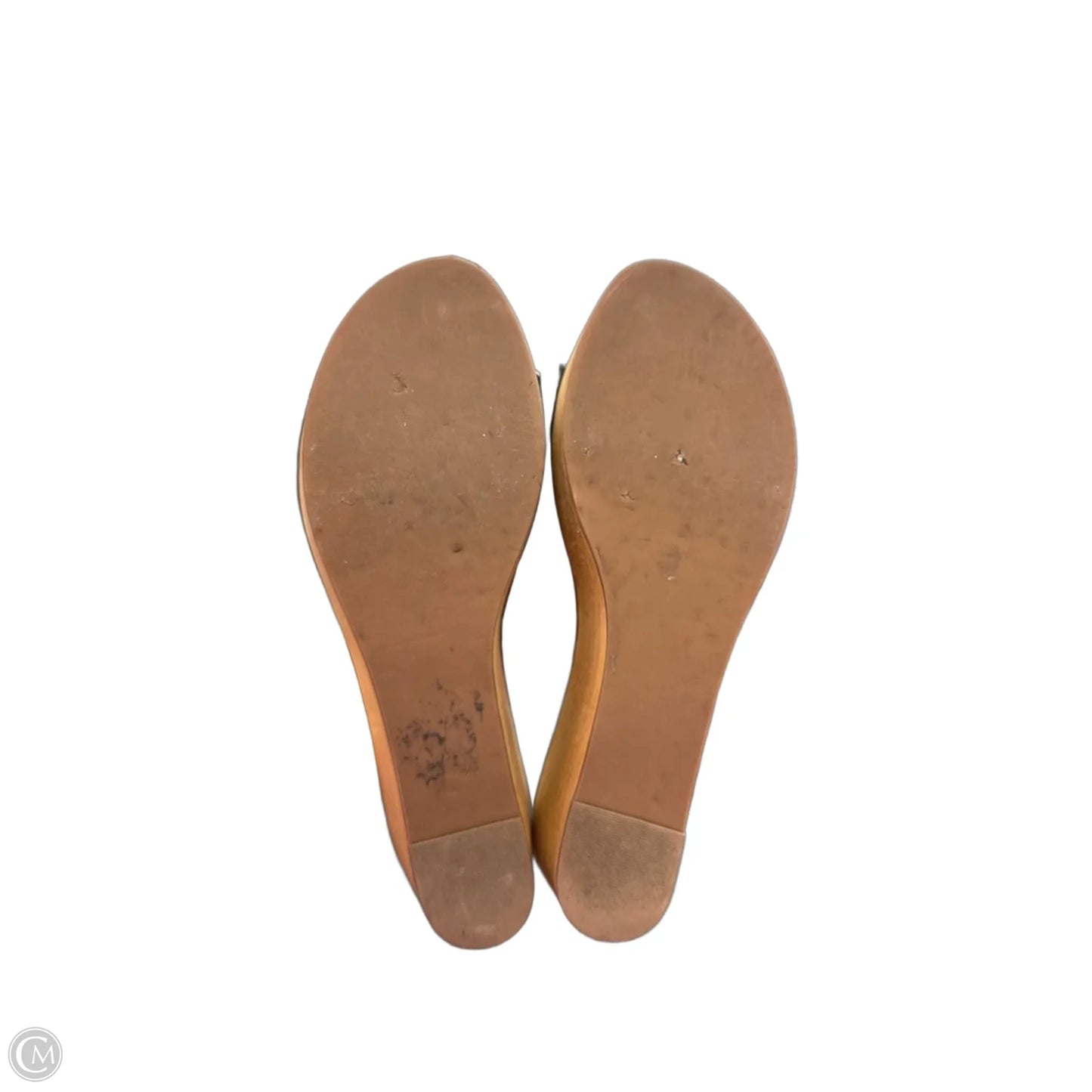 Sandals Designer By Tory Burch In Black, Size: 9