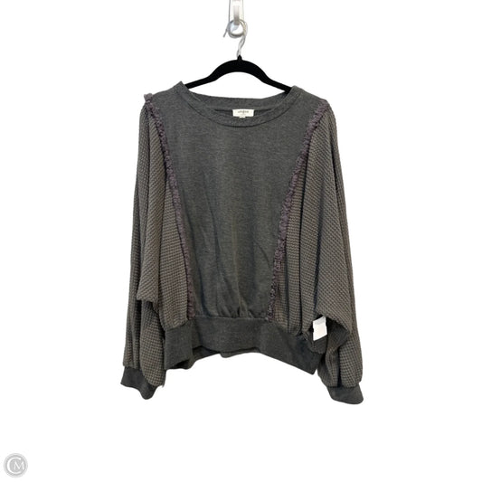 Top Long Sleeve By Umgee In Grey, Size: S