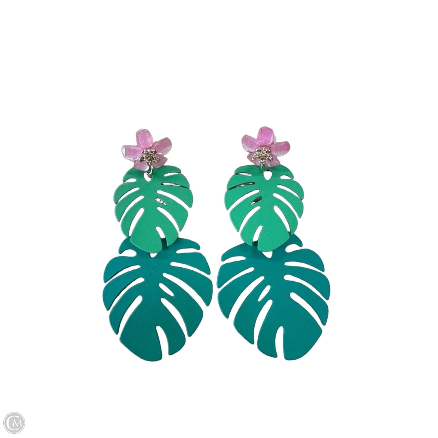 Earrings Dangle/drop By Clothes Mentor