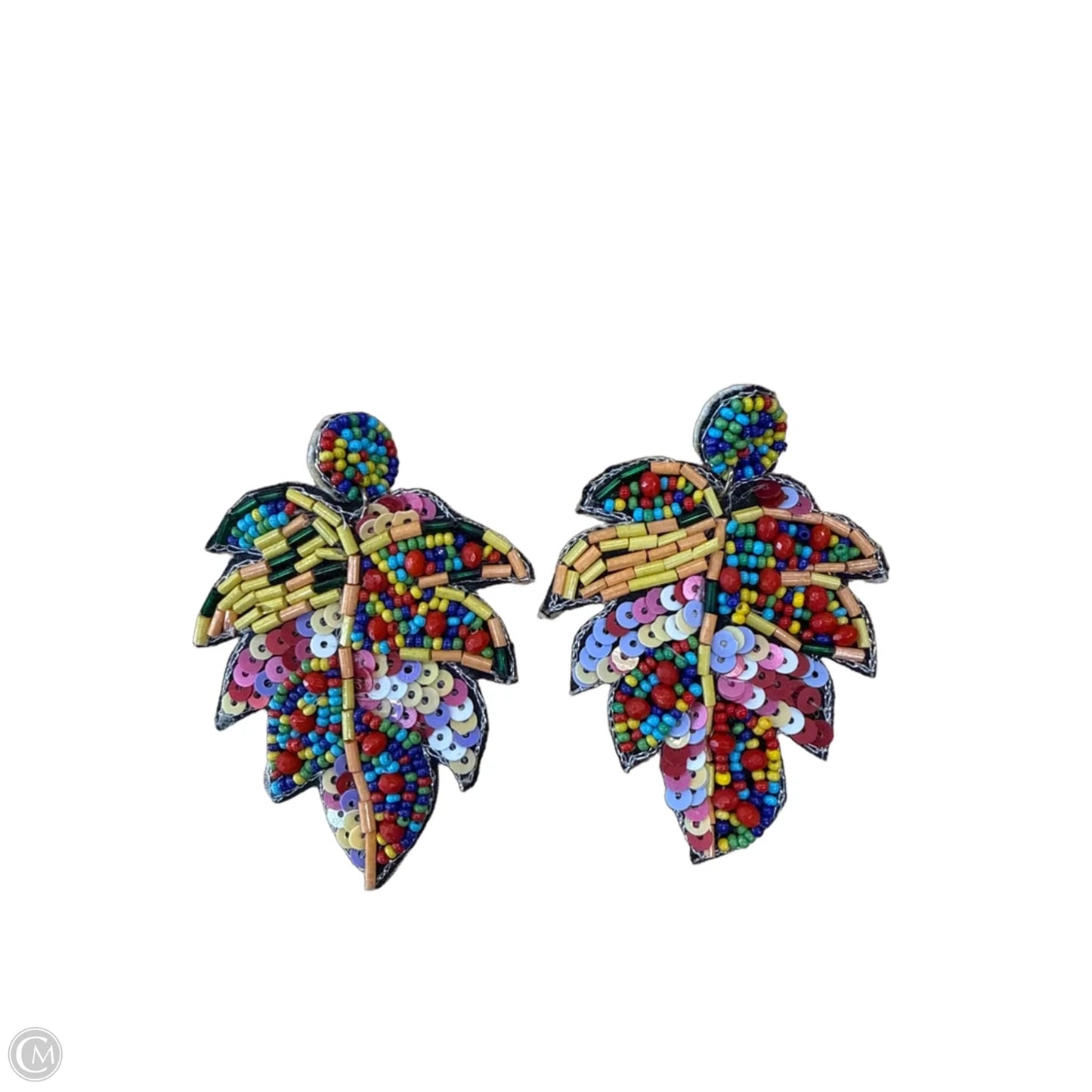 Earrings Dangle/drop By Clothes Mentor