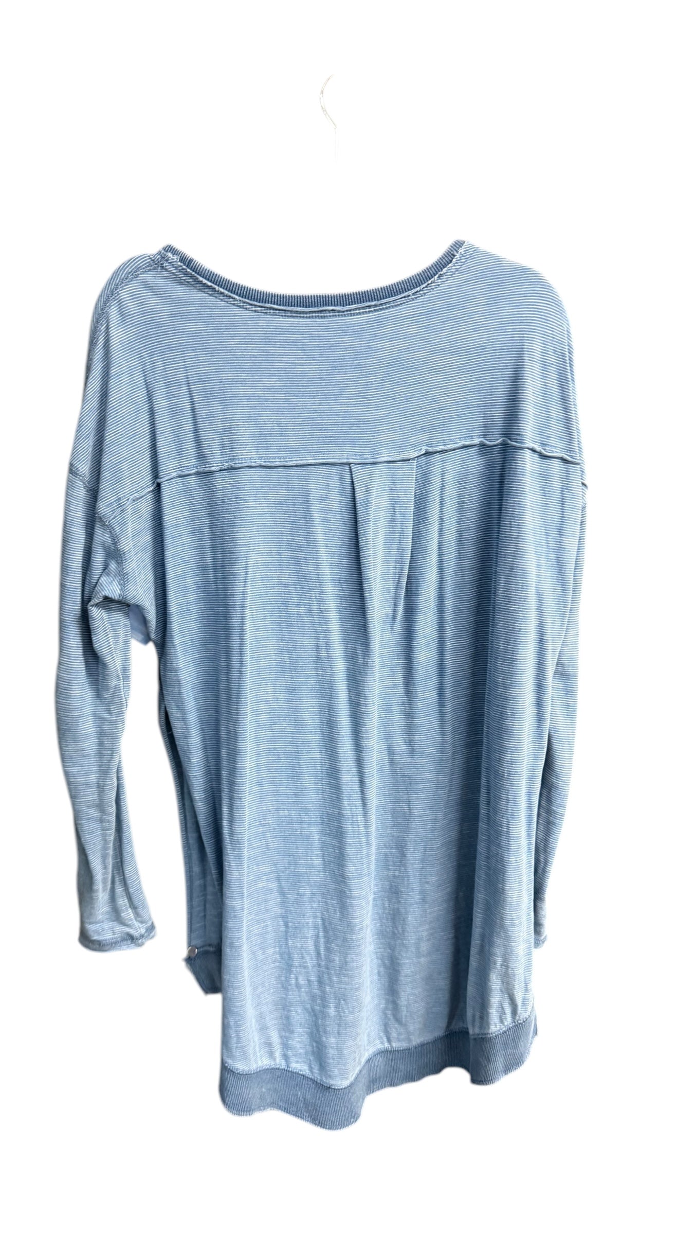 Top Long Sleeve By Z Supply In Blue, Size: S