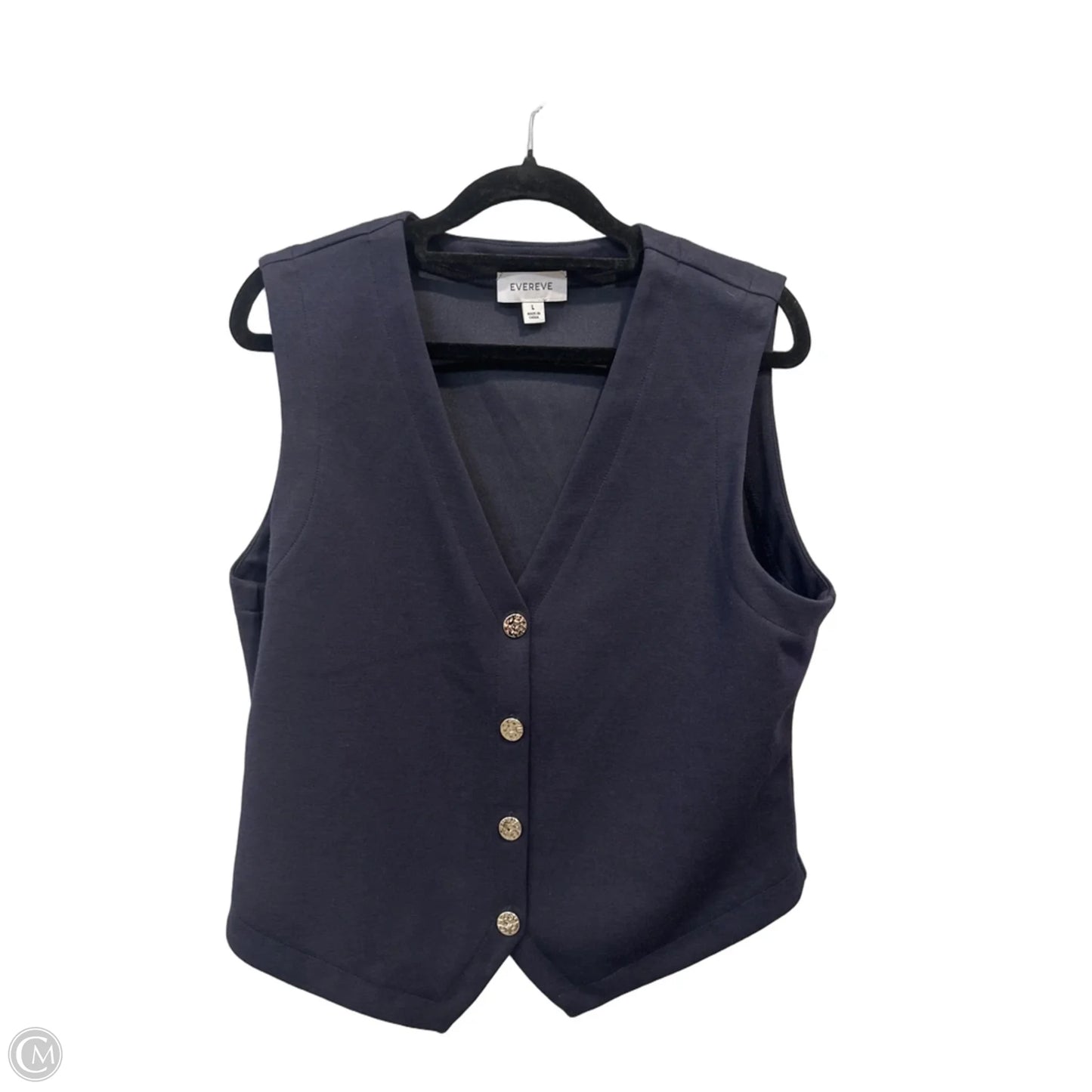 Top Sleeveless By Evereve In Blue & Silver, Size: L