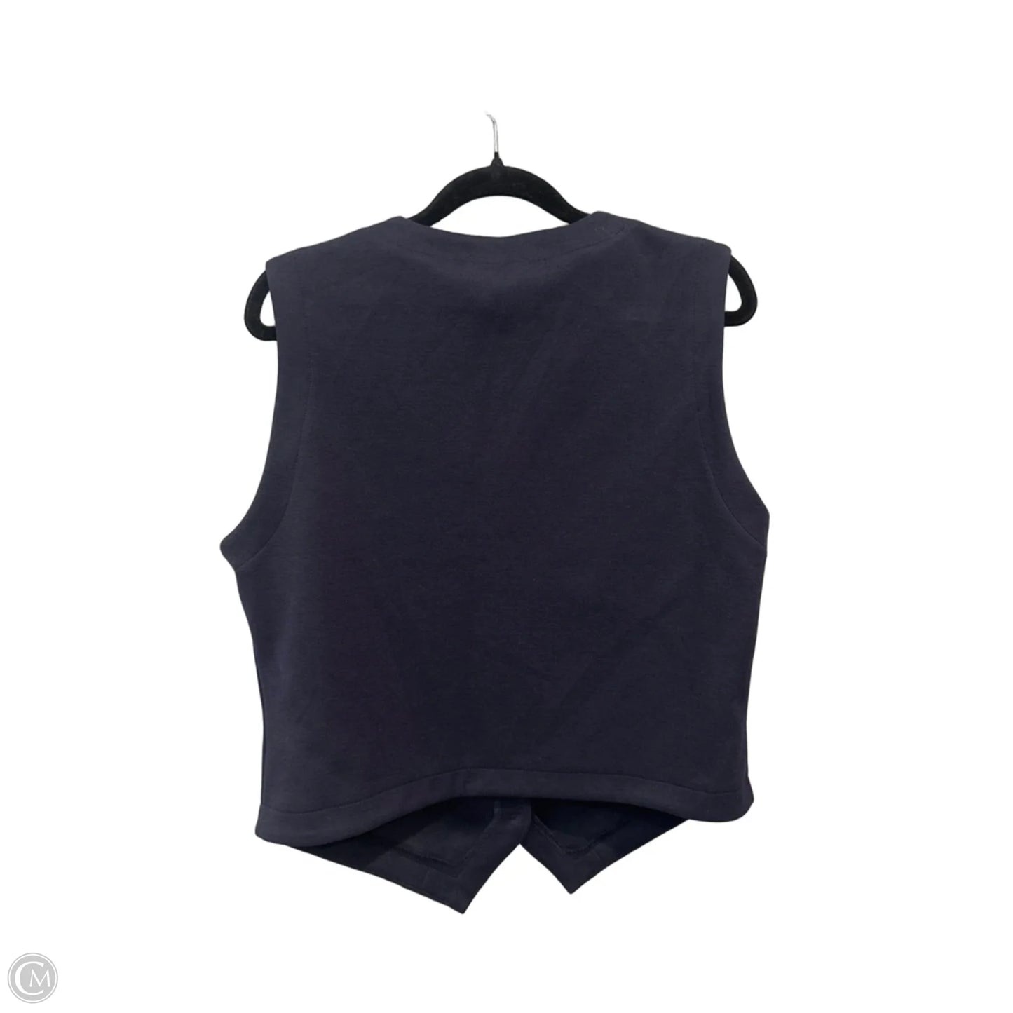 Top Sleeveless By Evereve In Blue & Silver, Size: L