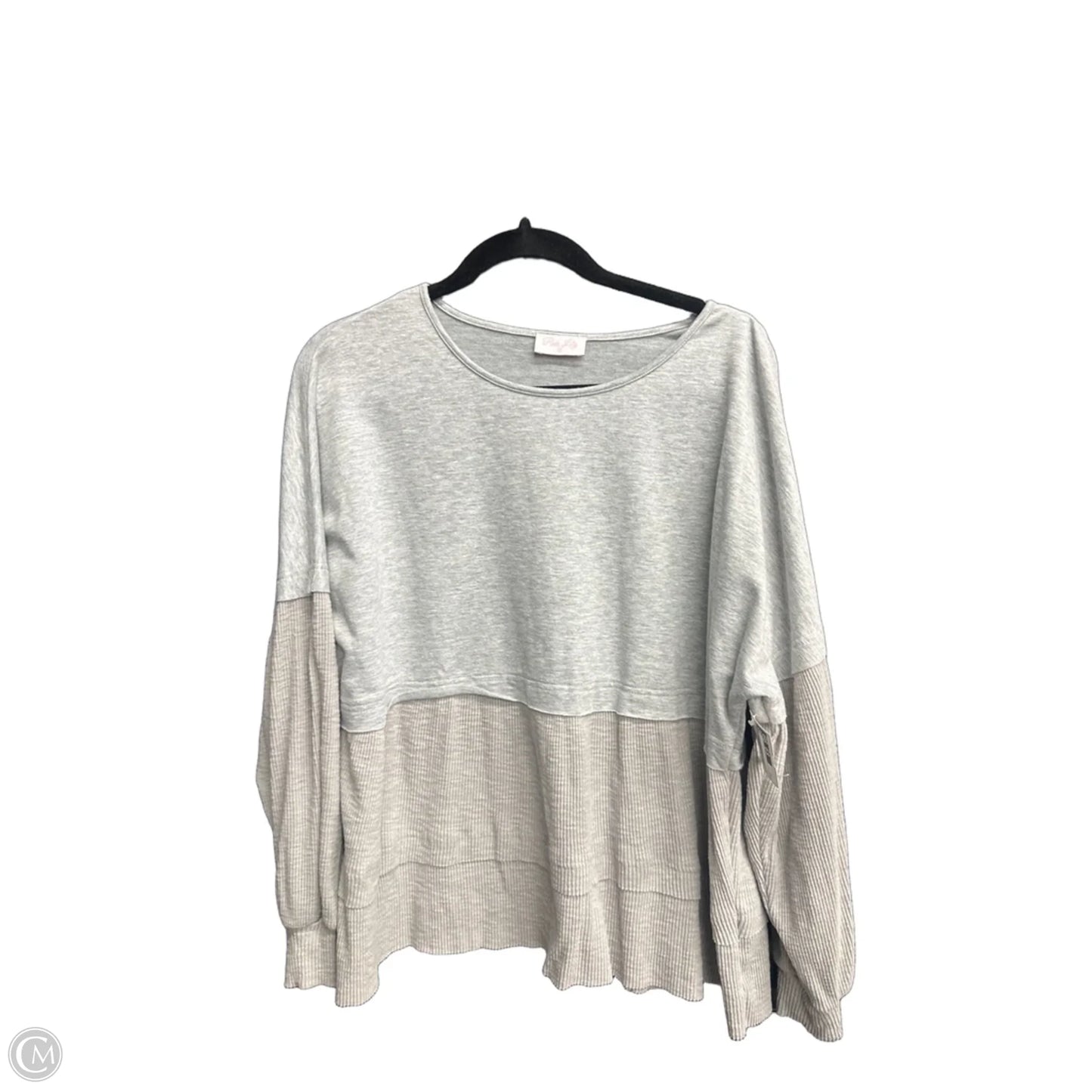 Top Long Sleeve By Pink Lily In Grey, Size: S