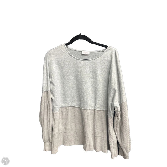 Top Long Sleeve By Pink Lily In Grey, Size: S