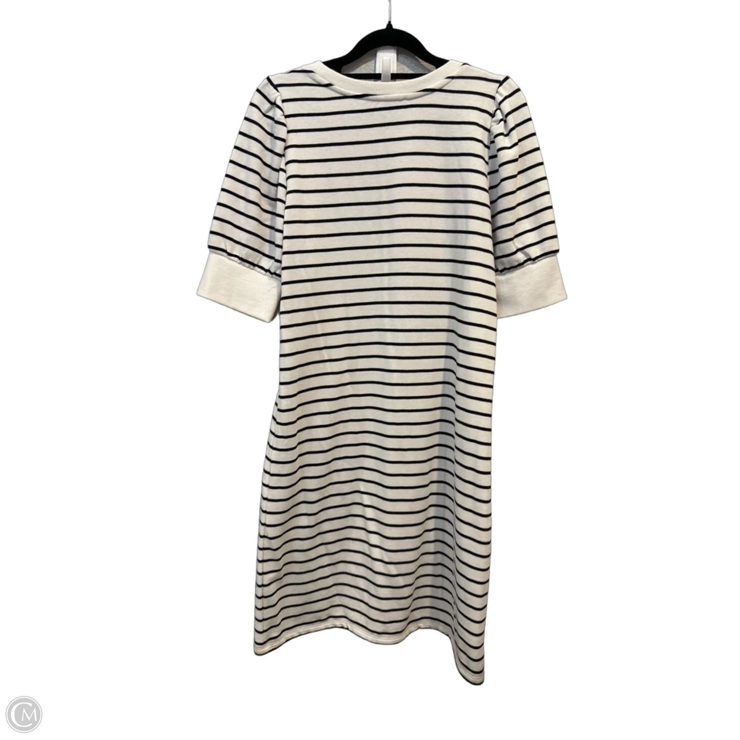 Dress Casual Short By Loft In Striped Pattern, Size: S
