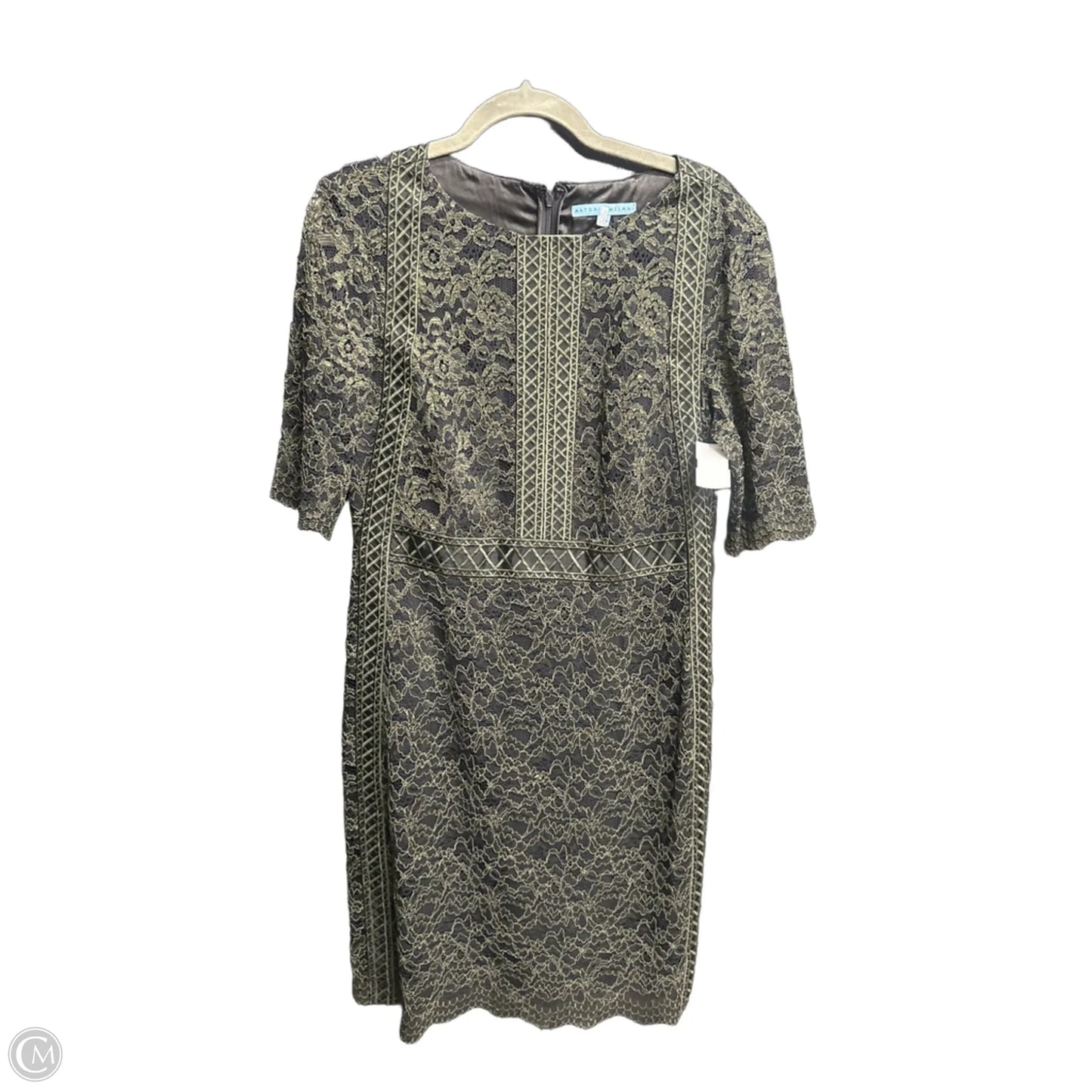 Dress Casual Midi By Antonio Melani In Green, Size: S