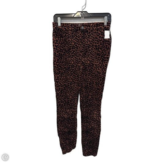 Pants Corduroy By Loft In Animal Print, Size: 0