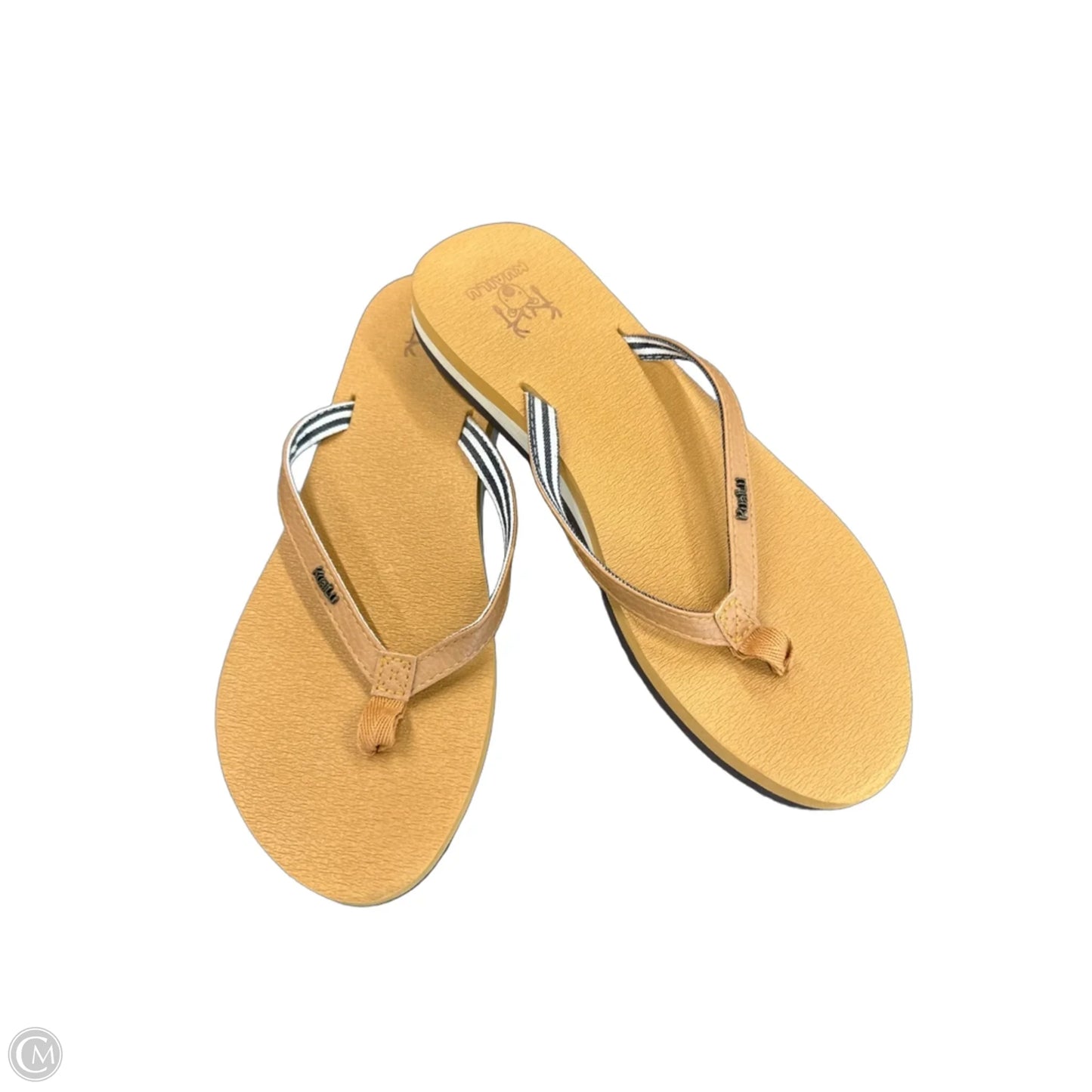 Sandals Flip Flops By Clothes Mentor In Brown, Size: 9.5