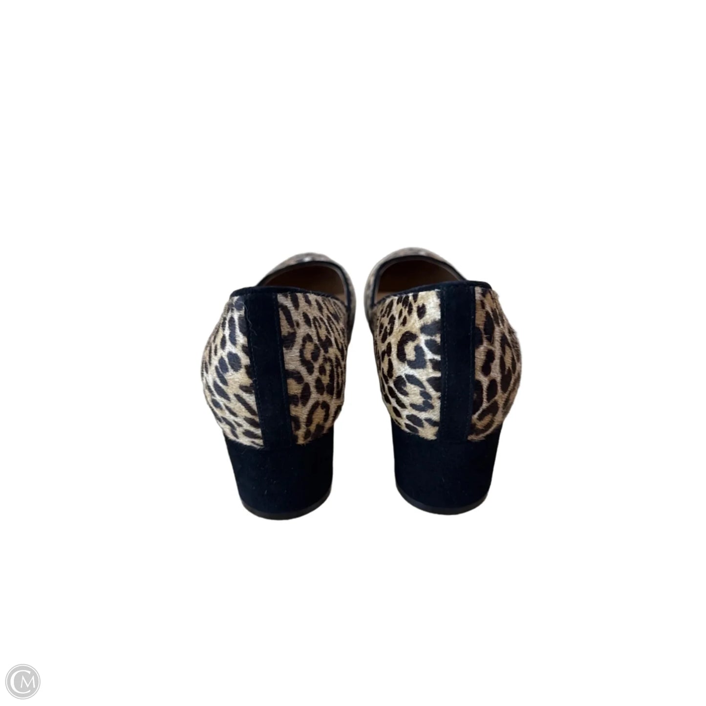 Shoes Heels Block By Johnston & Murphy In Leopard Print, Size: 8
