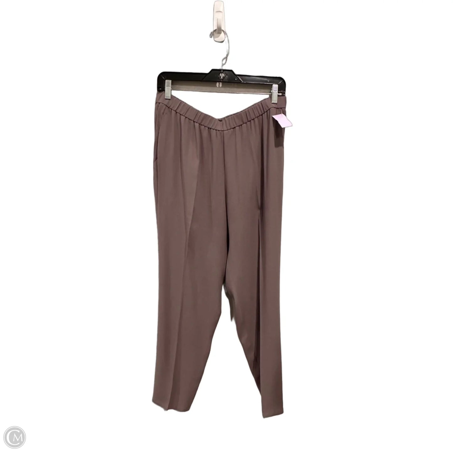 Pants Set 2pc By Eileen Fisher In Grey, Size: M