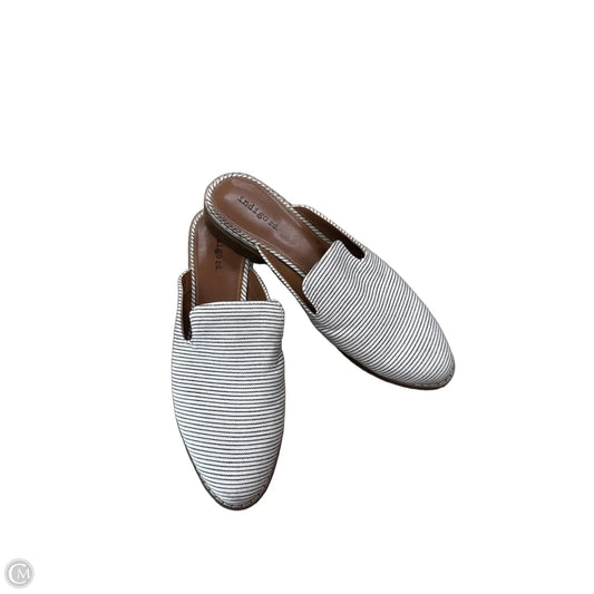 Shoes Flats By Indigo Rd In Striped Pattern, Size: 8