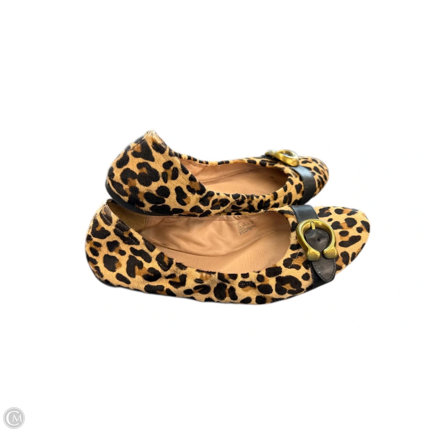 Shoes Designer By Coach In Animal Print, Size: 9.5