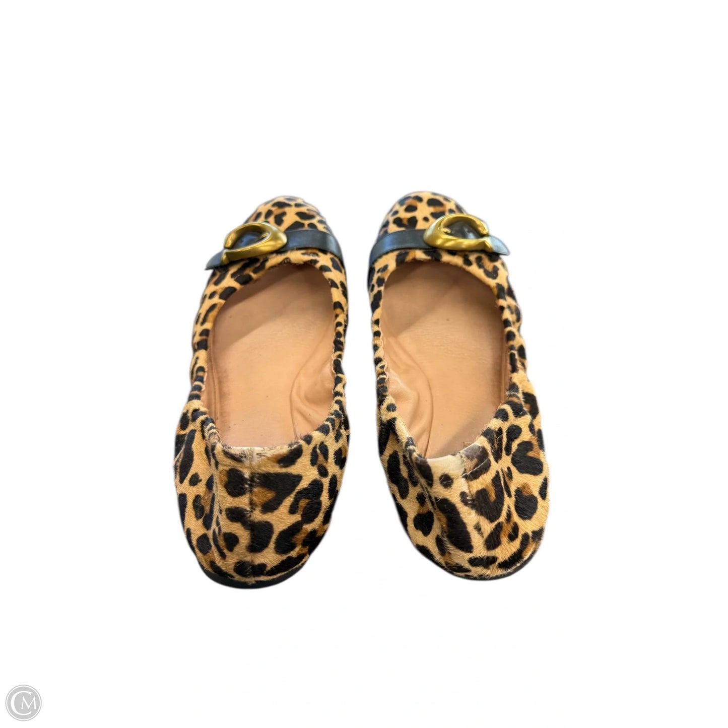Shoes Designer By Coach In Animal Print, Size: 9.5