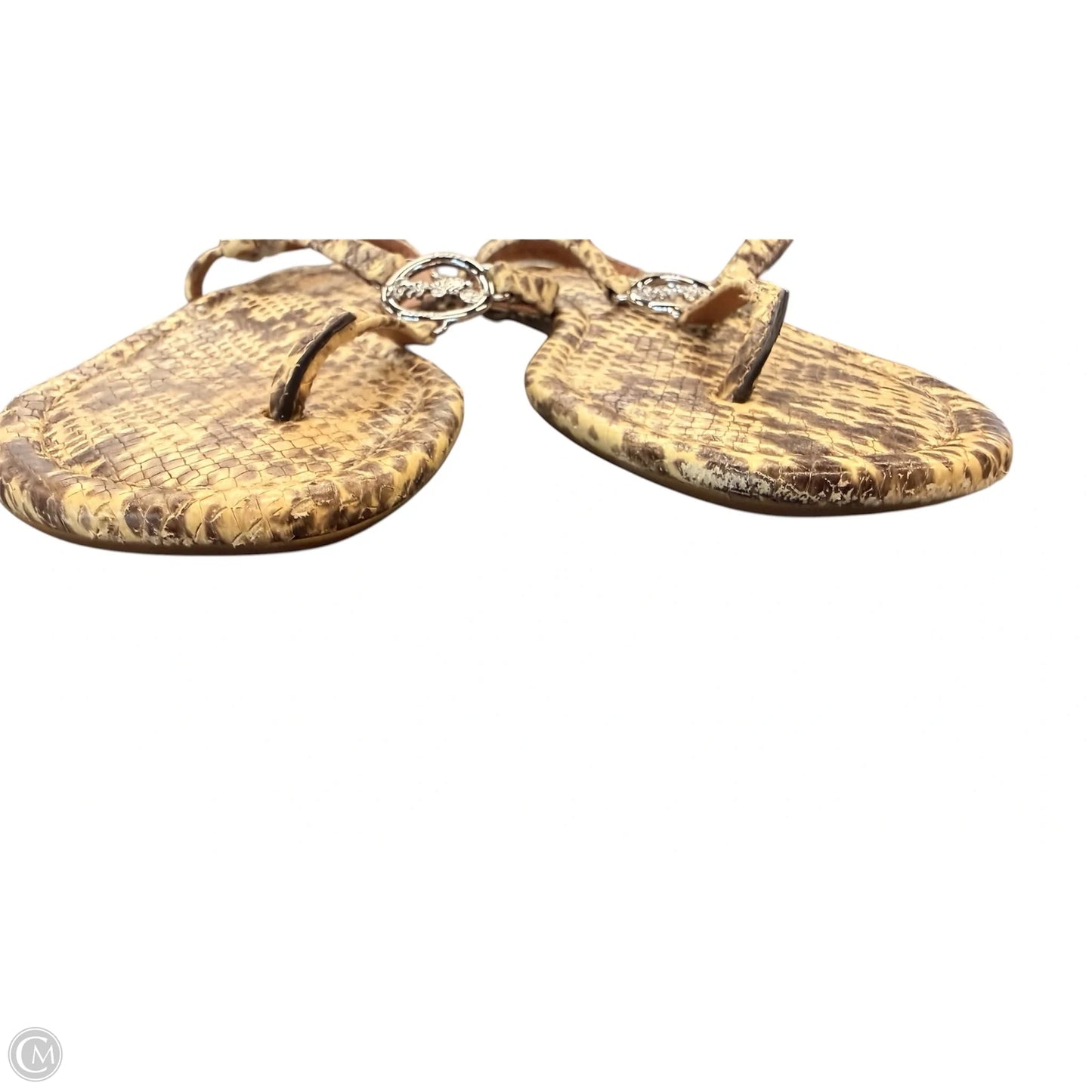 Sandals Designer By Coach In Snakeskin Print, Size: 7.5