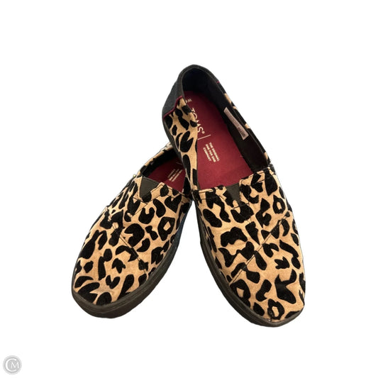 Shoes Flats By Toms In Leopard Print, Size: 6.5